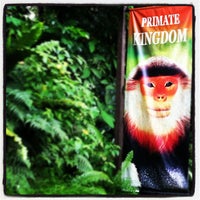 Photo taken at Primate Kingdom by Joe N. on 5/21/2012
