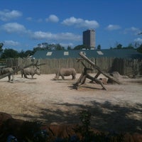 Photo taken at White Rhinoceros Exhibit @ Houston Zoo by Taylor C. on 5/23/2012