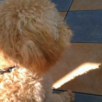 beach city animal hospital