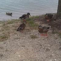 Photo taken at Duck Pond by Xena C. on 9/7/2011