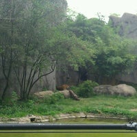 Photo taken at Malayan Tiger Habitat by Eddy W. on 4/2/2011