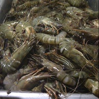 Photo taken at PLTU Seafood by Yeni M. on 6/29/2012