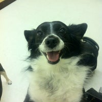 Photo taken at Gulf Coast Veterinary Neurology And Nuerosurgery by JessIca Marie G. on 6/30/2012