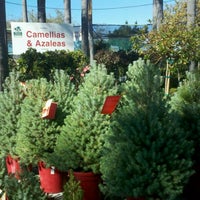 Photo taken at Walter Andersen Nursery by Comic-Con G. on 11/27/2011