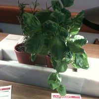 Vapiano Italian Restaurant In Bremen