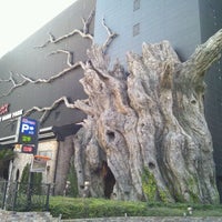 Photo taken at ウェアハウス 東雲店 by manaka* on 12/29/2011