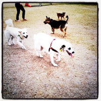 Photo taken at Officer Lucy Bark Park by Katie W. on 12/24/2010