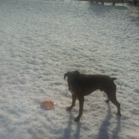 Photo taken at Bijou Dog Park by Kristel K. on 1/25/2012