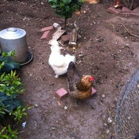 Photo taken at Alemany Chicken Ranch &amp;amp; Sanctuary by Kevin H. on 5/9/2012