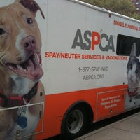 Aspca Mobile Unit City Line 5 Tips