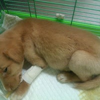 Photo taken at Charan52 Veterinary Clinic by palmy l. on 2/23/2012