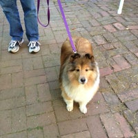 Photo taken at Paws Pet Boutique by Dogwood Acres P. on 4/20/2012