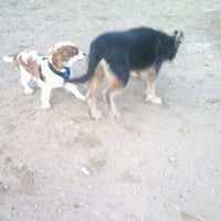 Photo taken at Astoria Park Dog Park by kristalM45 on 1/7/2012