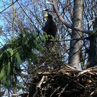 Photo taken at American Bald Eagle by Martha F. on 2/4/2012