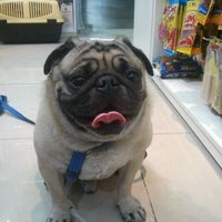 Photo taken at Petit Bichon Pet Shop by Pedro S. on 2/25/2012