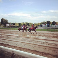 Saratoga Race Track Seating Chart