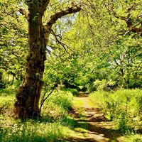Photo taken at Eastham Woods by Dave F. on 5/31/2012