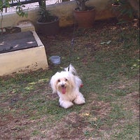 Photo taken at Dog&amp;#39;s run by Dhea C. on 9/8/2012