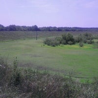 levee brainerd