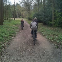 Thetford Forest Camping And Caravanning Club Site Thetford Norfolk