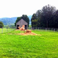 Photo taken at Otis the Camel by Liam G. on 7/19/2011
