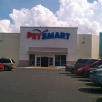 petsmart rexville