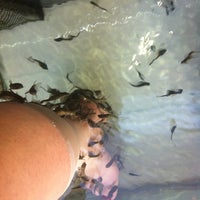 รูปภาพถ่ายที่ Athens Fish Spa Massage and Hammam โดย Joanne R. เมื่อ 8/12/2011