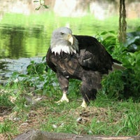 Photo taken at Eagle Island by Valerie T. on 8/28/2011