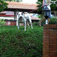 Kerberos Ranch Kennel 3 Tips