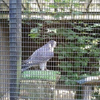 Photo taken at Ohio Bird Sanctuary by Amanda C. on 6/15/2012