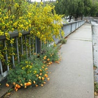 gatos trail los creek