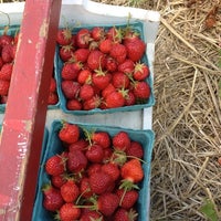 Photo taken at Rulfs Orchard by Melissa B. on 6/24/2012