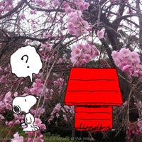 桑山公園 Other Great Outdoors In 山口県 桑山公園 Other Great Outdoors In 山口県