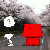 桑山公園 Other Great Outdoors In 山口県