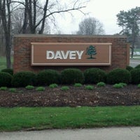 davey tree expert company davey tree expert company