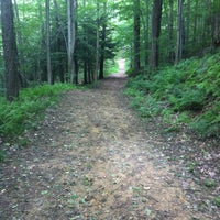 state park allegany