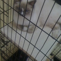 Das Foto wurde bei Critters Pet Shop von VisuaLStimuluS A. am 4/8/2011 aufgenommen
