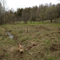 Photo taken at Östersundomin koirametsä by Juha R. on 5/3/2012