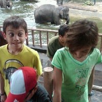 Photo taken at Elephant Ride @ S&amp;#39;pore Zoo by Jon F. on 3/31/2012