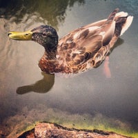 Photo taken at Chicago Botanic Garden by Elaine C. on 7/1/2012