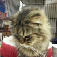 Photo taken at Park Glen Animal Clinic by Angie S. on 12/21/2011