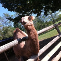 Photo taken at Parco Safari delle Langhe by Alberto S. on 9/11/2012