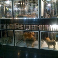 Photo taken at Pet Shop Corner by Vanessa E. on 8/20/2012