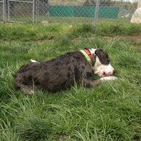 Photo taken at Greenhill Humane Society by Sydney R. on 4/17/2012