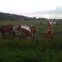 Photo taken at Stichting Ponyclub Floradorp by Simone P. on 7/6/2011