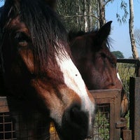 Photo taken at Japalouppe Equestrian Horse Riding Centre by Alethea F. on 11/6/2011