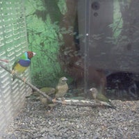 Photo taken at Sandy&amp;#39;s Pet Shop by Larry R. on 10/8/2011
