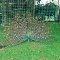 Photo taken at Zoo de Santillana by Miguel G. on 10/16/2011