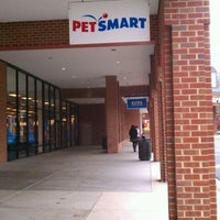 lizard leash leopard gecko