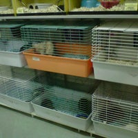 Photo taken at Petland Discount by Angie R. on 8/23/2012